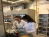 Zajęcia laboratoryjne uczniów klasy 1c na Wydziale Chemii UG