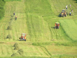 Rolnictwo i Leśnictwo w Malborku
